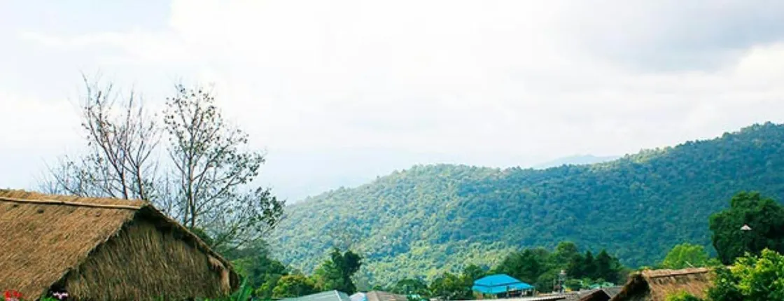 Half-day tour to Doi Suthep and Doi Pui Hmong Village in Chiang Mai