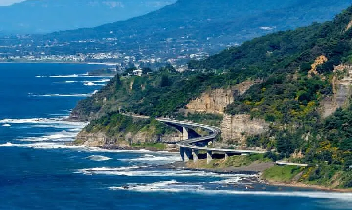 Sea Cliff Bridge, Kiama Blowhole, Beaches & Wildlife Small Group