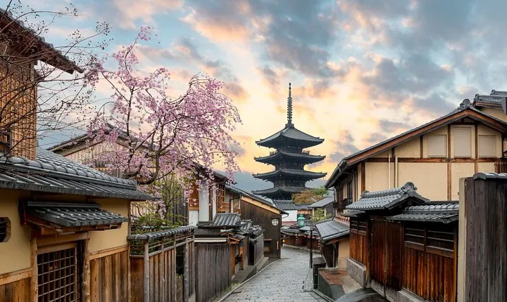 Kyoto Full-Day Private Tour (Osaka departure) with Government-Licensed Guide