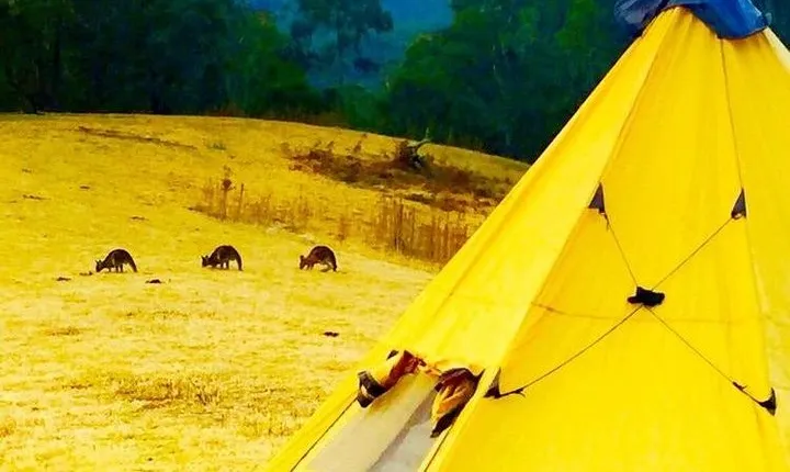 Blue Mountains Into The Wild Overnight Camping 4WD Off Road Wilderness Adventure