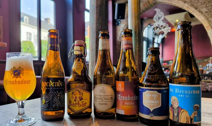 Bruges Beer Tasting Experience (with cheese!)