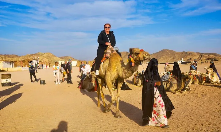 Discover the Desert Magic with an Exciting Camel Ride - Hurghada