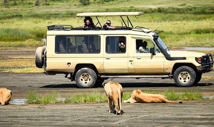 Ngorongoro Crater Day Trip With Pick Up