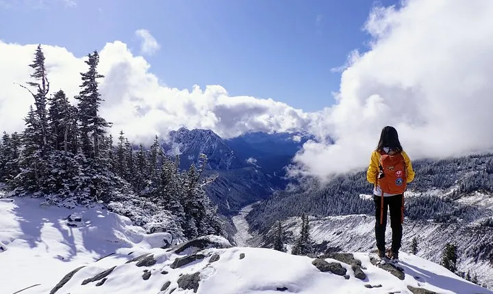 Best of Mount Rainier National Park from Seattle: All-Inclusive Small-Group Tour