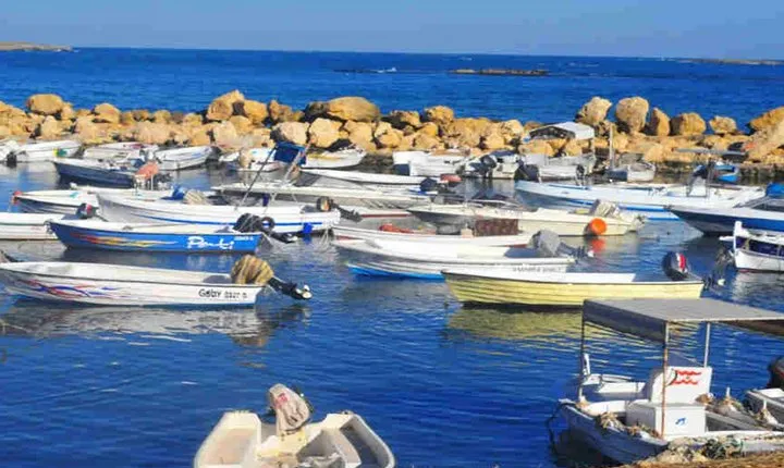 Guided Small-Group Tour to Tripoli and Batroun with Lunch