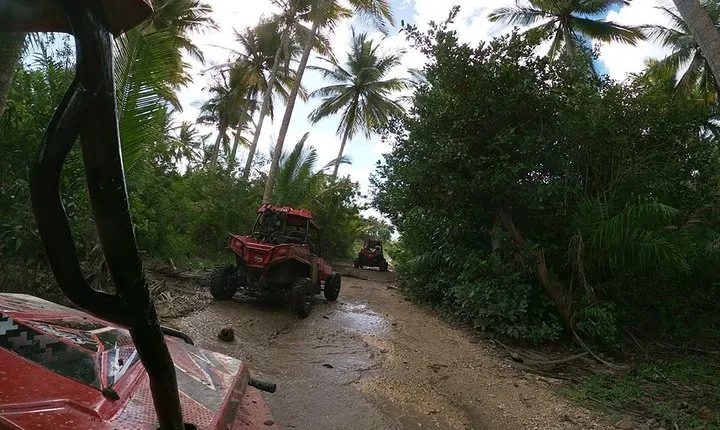Buggy Tour from Sosua