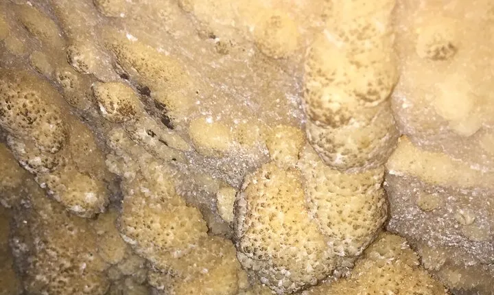 Caving tour ( stalactites-stalagmites) & hiking at national park