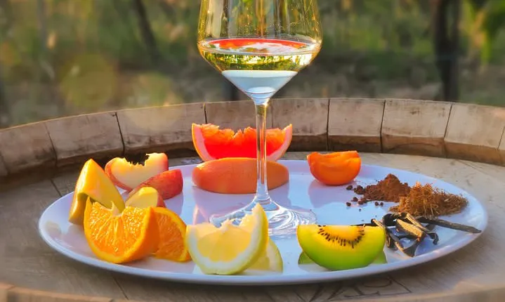 Siena: A Wine Tour and Tasting Experience