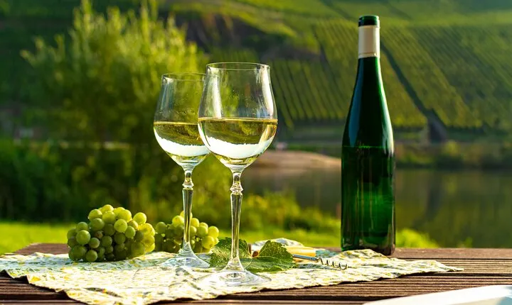 Private Wine Tour in Pfalz Wine Region