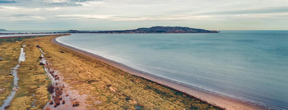 Dublin Bull Island guided walking tour