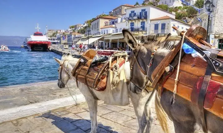 Hydra Private Day Trip by Ferry from Athens with Transfers