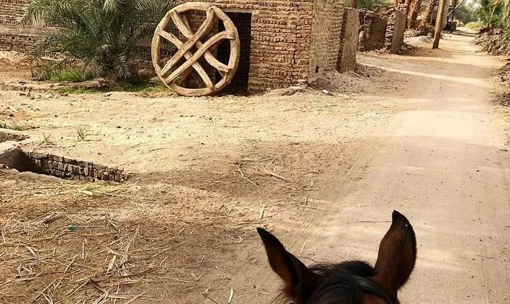 Rural Horse Riding Adventure
