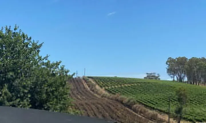 Full-Day VIP Hahndorf and McLaren Vale Private Car Tour