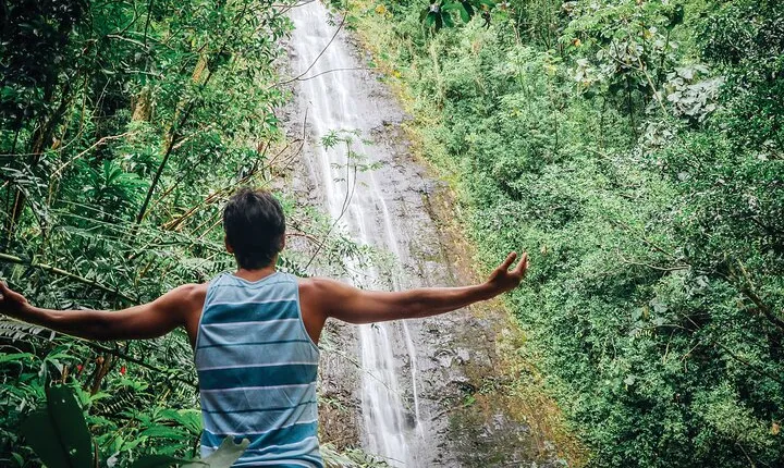 Manoa Waterfall Hike From Waikiki With Healthy Lunch Included