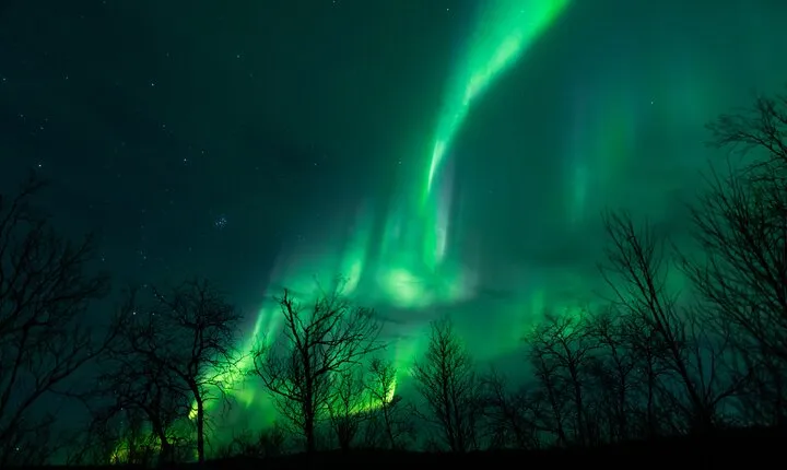 Northern Lights Tour from Kiruna to Abisko with Dinner