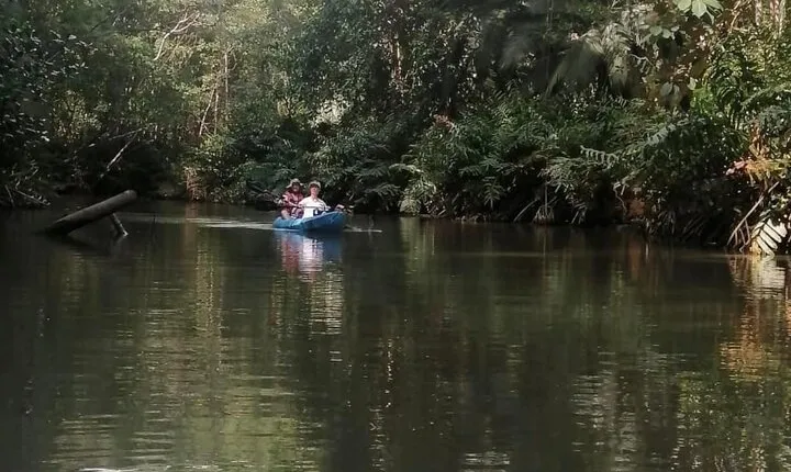2-Hour Kayak Tour in Quepos