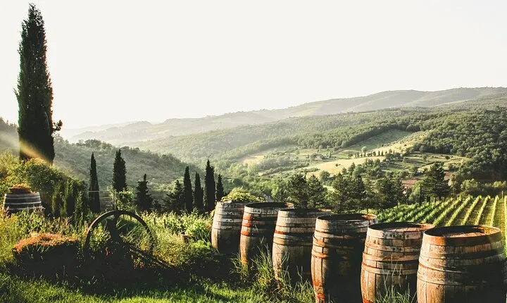 NEW! Private Cultural and Wine Tasting Tour in Eger