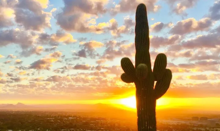 Stunning Sunset or Sunrise Guided Hiking Adventure in Phoenix