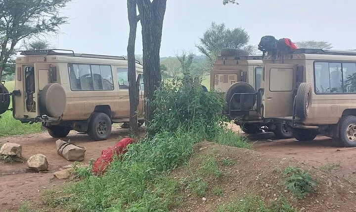 5 Day Camping Tarangire Serengeti Ngorongoro Crater and Maasai