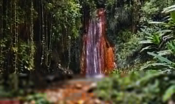 St Lucia Diamond Mineral and Mud Baths Plus Waterfall Adventure 