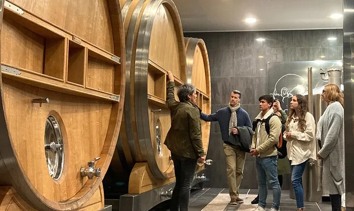 The Secrets of Champagne by a Passionate Winemaker (English)