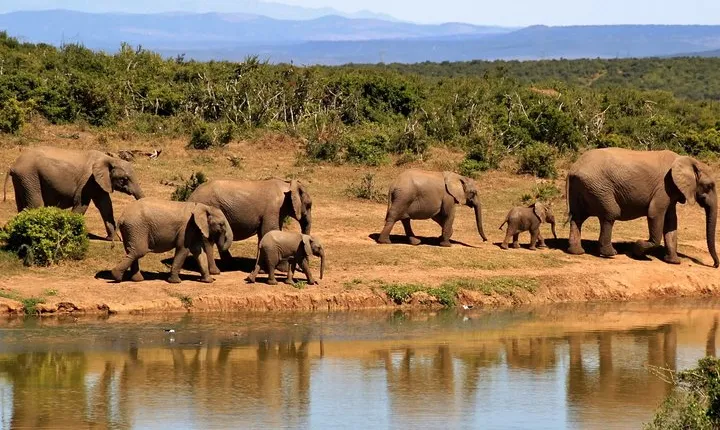3-Day Tour to Queen Elizabeth National Park