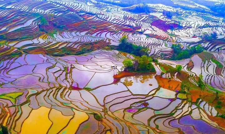2-Day Private Photography Tour to Yuanyang Rice Terrace from Kunming