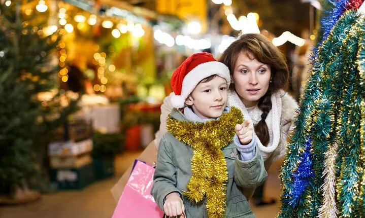 Marvelous Christmas in Vaduz Walking Tour