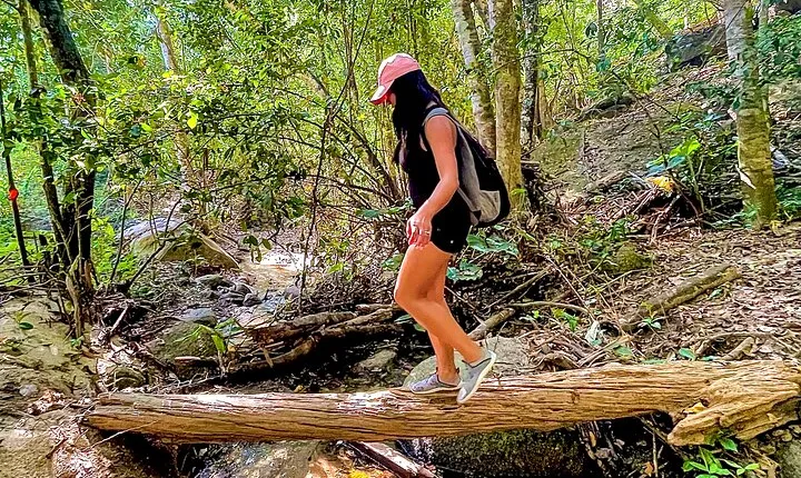 Puerto Vallarta Botanical Gardens Hiking Tour