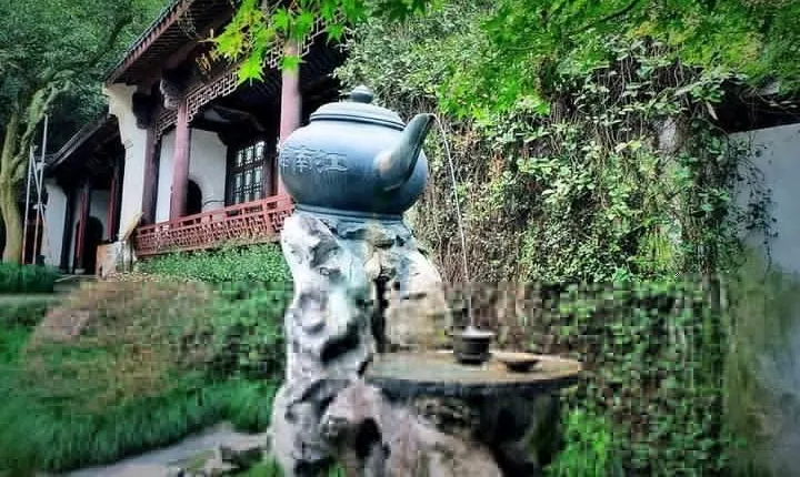 Half-Day Hangzhou Tea Culture and Hupao Spring Private Tour