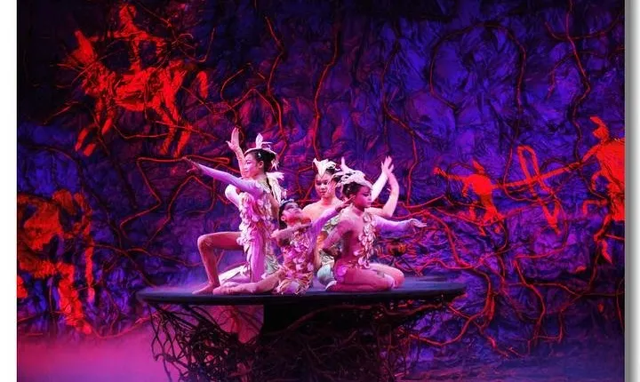 Beijing Acrobatics Night Show