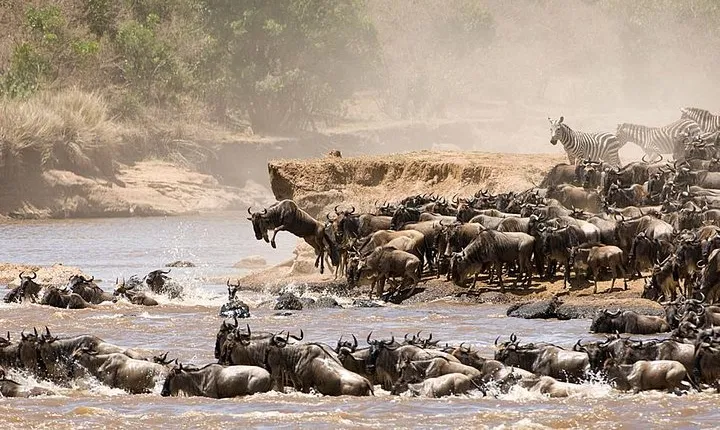 4 Days Luxury Lodge Safari Tour Tanzania