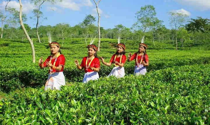Private Tour: 5 Days - Bangladesh Nature & Culture Tour - North-eastern part