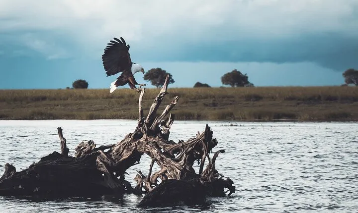 Full Day Okavango Mokoro Tour