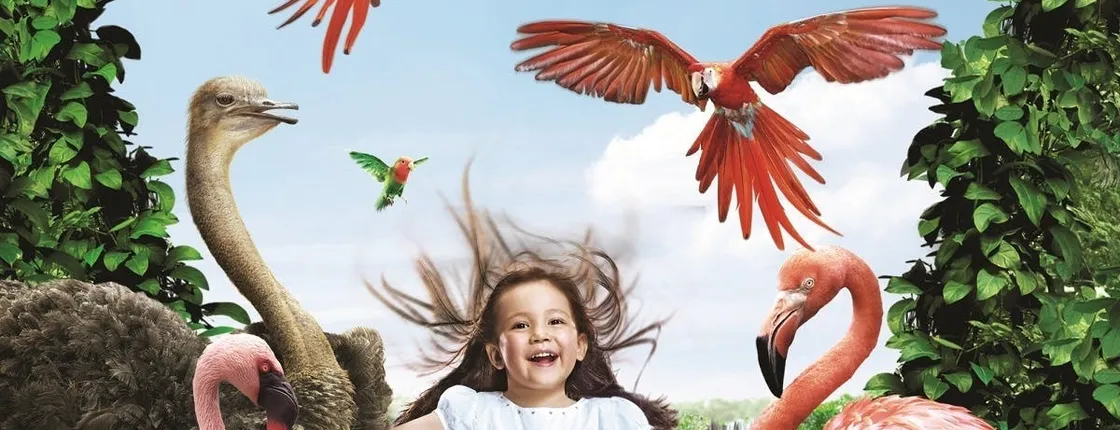Bird Paradise Tour With Tram Ride And 1-Way Transfer
