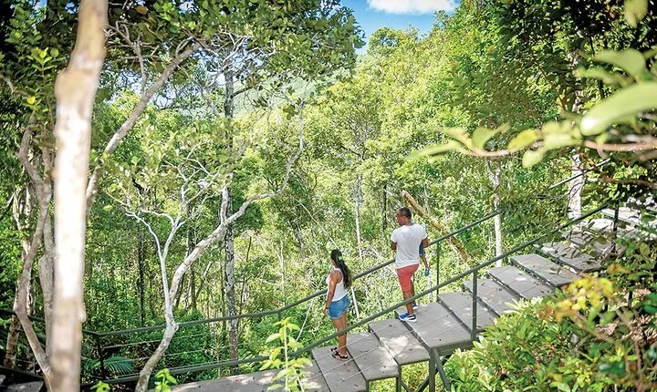 EXOTIC South West Mauritius with Ebony JEEP Forest Safari & Lunch