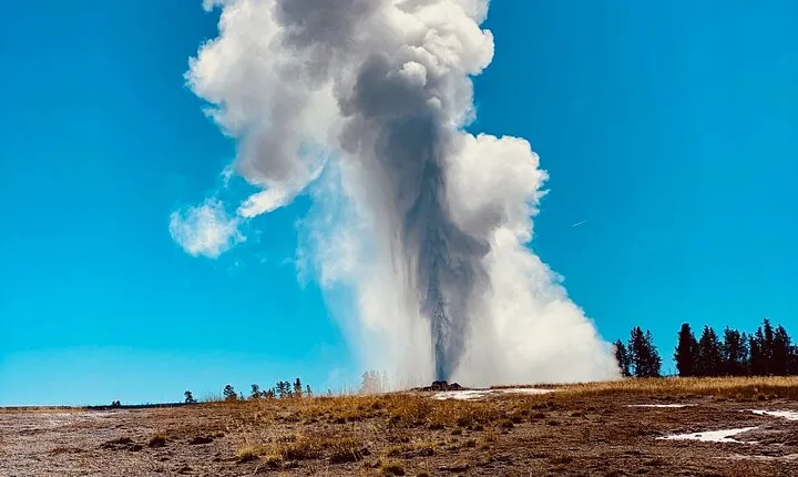 Private Lower Loop Tour of Yellowstone National Park 