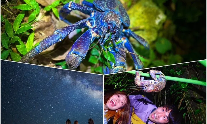 [Ishigaki] Night Jungle Tour