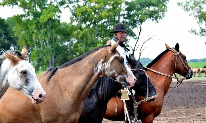 Gaucho Day Trip from Buenos Aires: Santa Susana Ranch