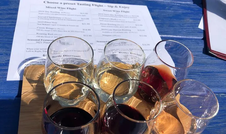 Seneca Lake South Wine Tastings Tour