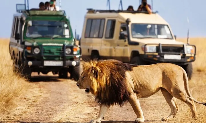 4 days Awesome Luxury safari Tarangire Serengeti & Ngorongoro