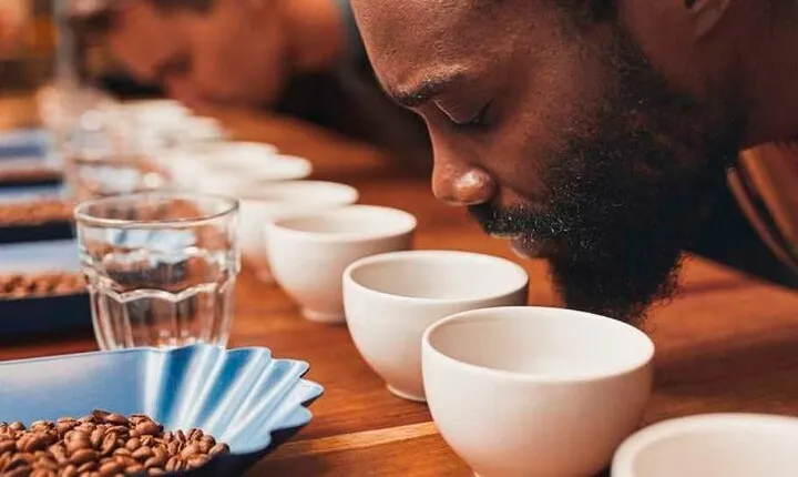 Coffee Experience in Dominican Republic with Local Tastings