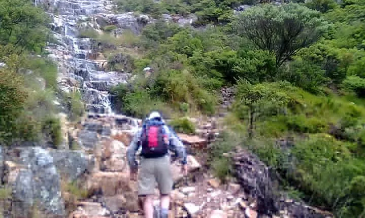 Hiking and Trekking on Table Mountain + Transport 