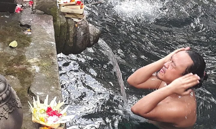 Ubud Water Temple Waterfall Terrace Swing Private Guided Tour