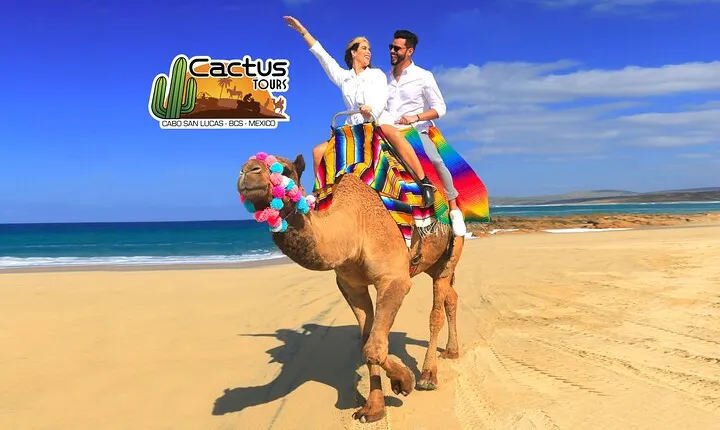 Beach Camel Ride & Encounter in Cabo by Cactus Tours Park