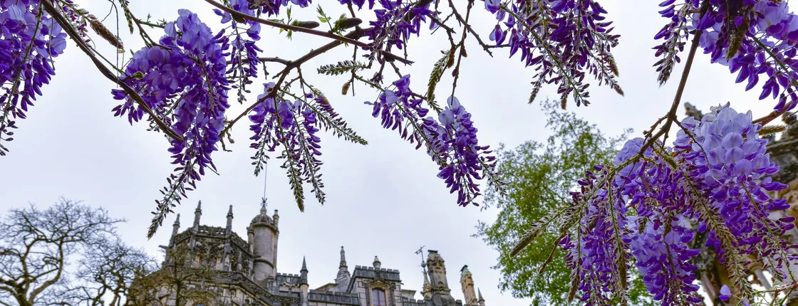 Sintra-Cascais: 2 Palácios e Tour mais completo