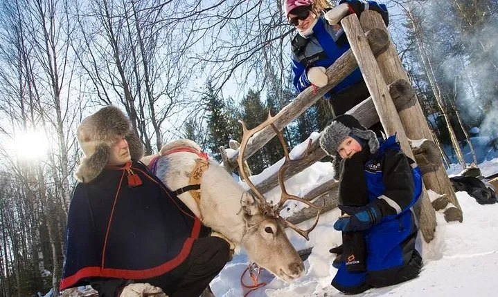In Pursuit of Reindeer - Snowmobile safari to reindeer farm in Rovaniemi