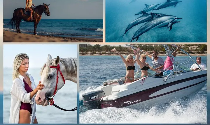 Private Speedboat Trip to Dolphin House & Riding Horse - Hurghada