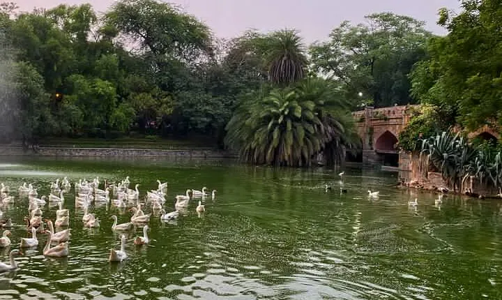 Heritage Delhi Private Walking & Shopping Tour
