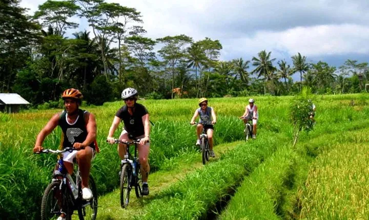 Rice Paddy Cycling Tour